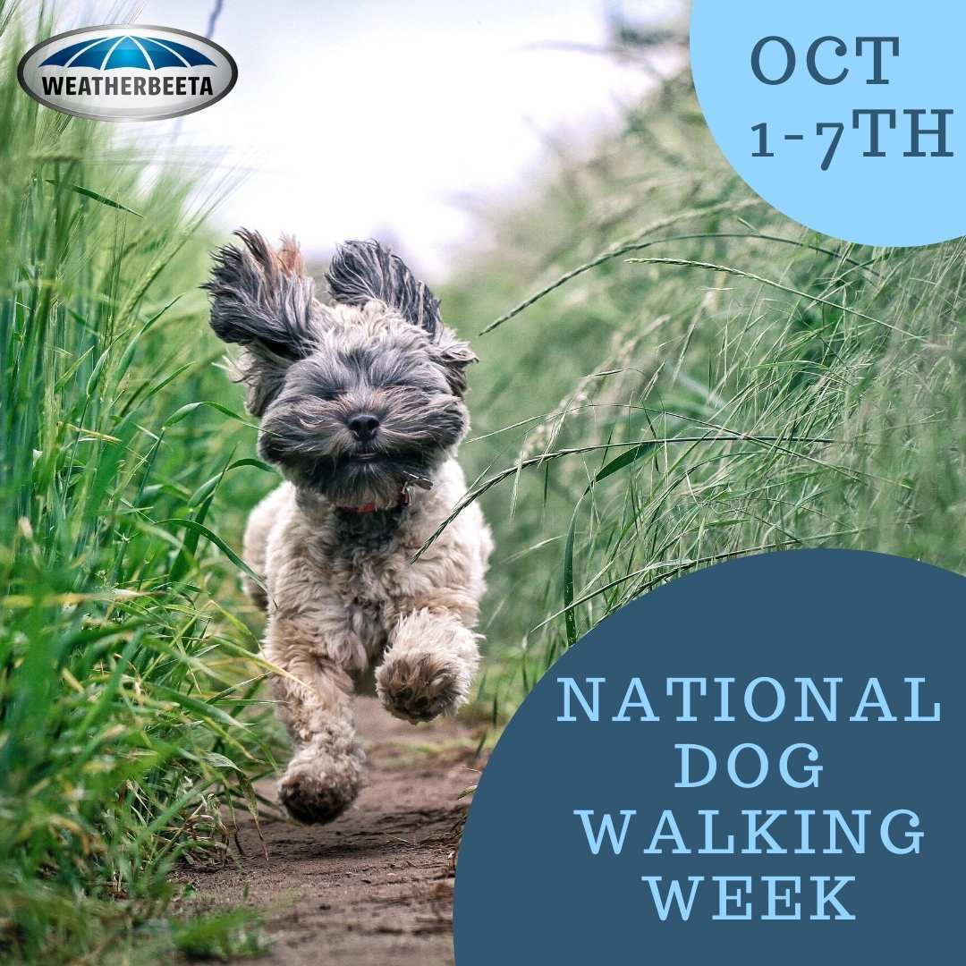 National Walk Your Dog Week 