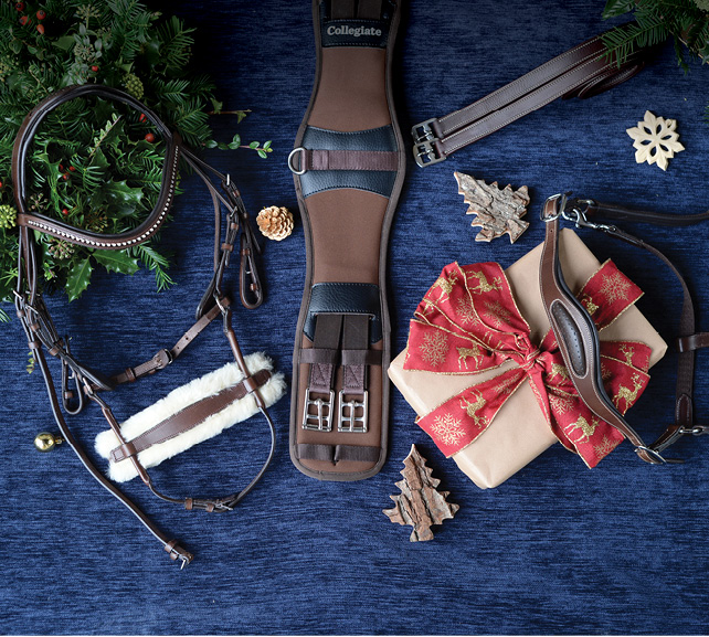 The Collegiate Saddlery Gift Guide is here!