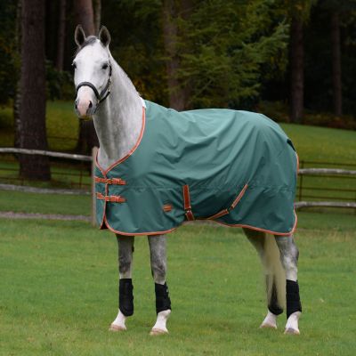 How to Care for and Clean your Horse's Turnout Blanket 