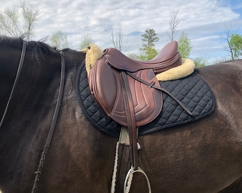 Saddle Review - Ithaca College Equestrian Team
