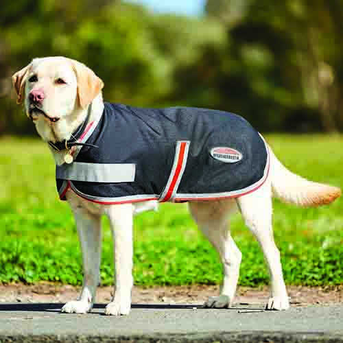 TTEC DOG COAT