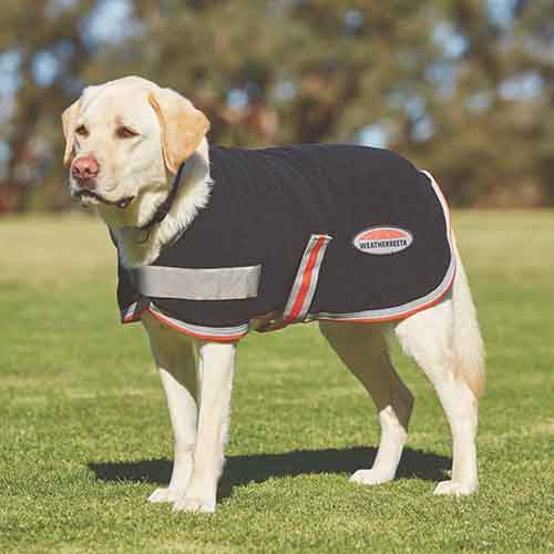 TTEC DOG FLEECE