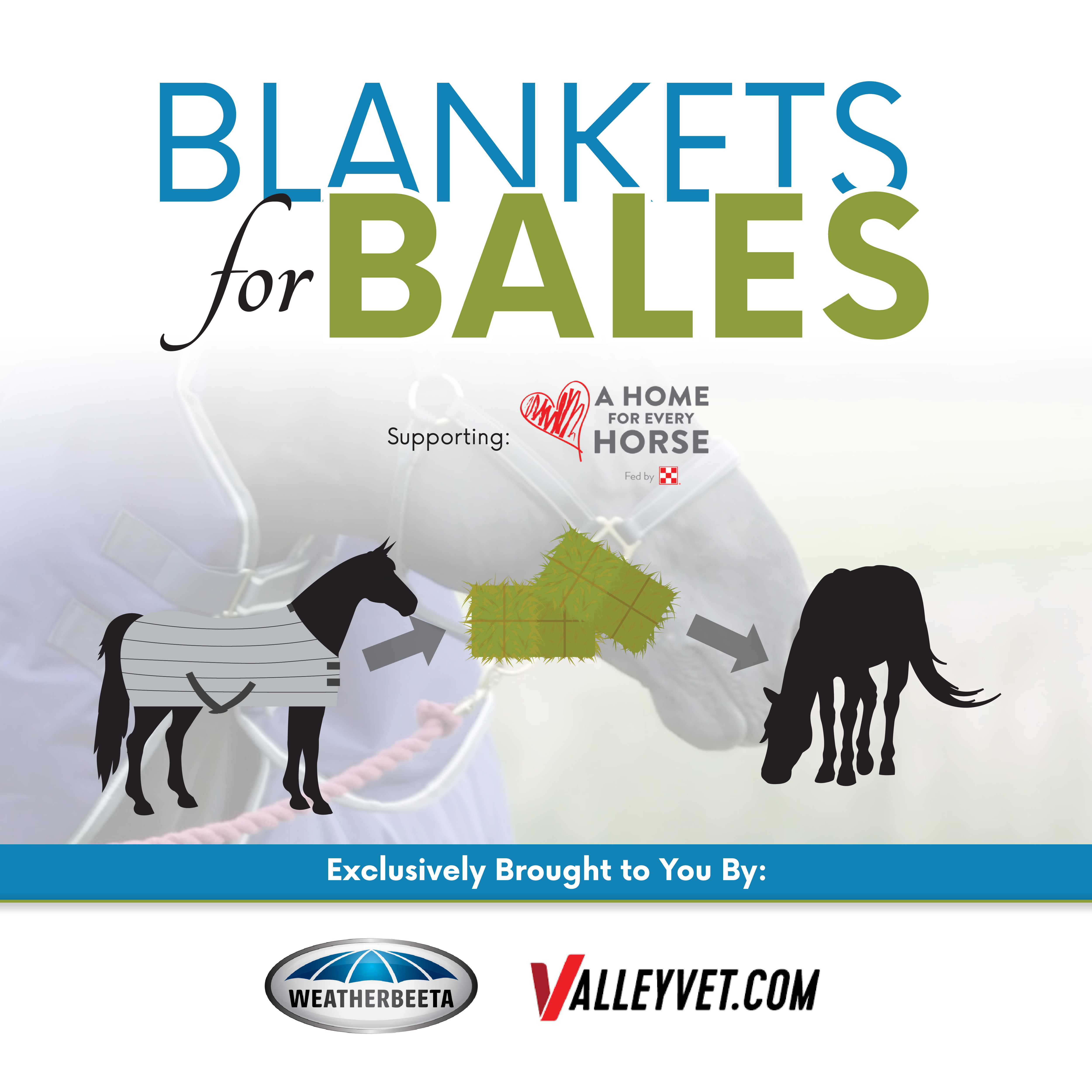 blankets for bales, supporting a home for every horse