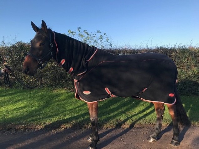 Horse in Therapy-Tec combo neck fleece