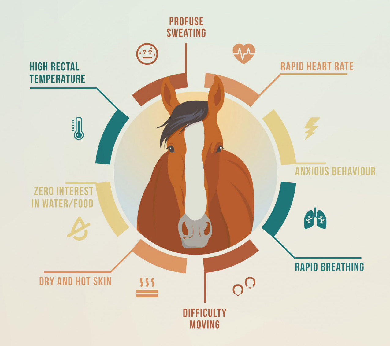 Signs of Heat Stress in Horses