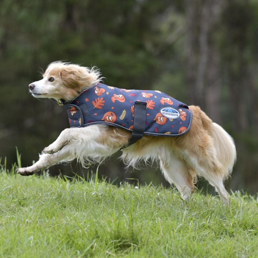https://www.weatherbeeta.com/pets/dog-coats