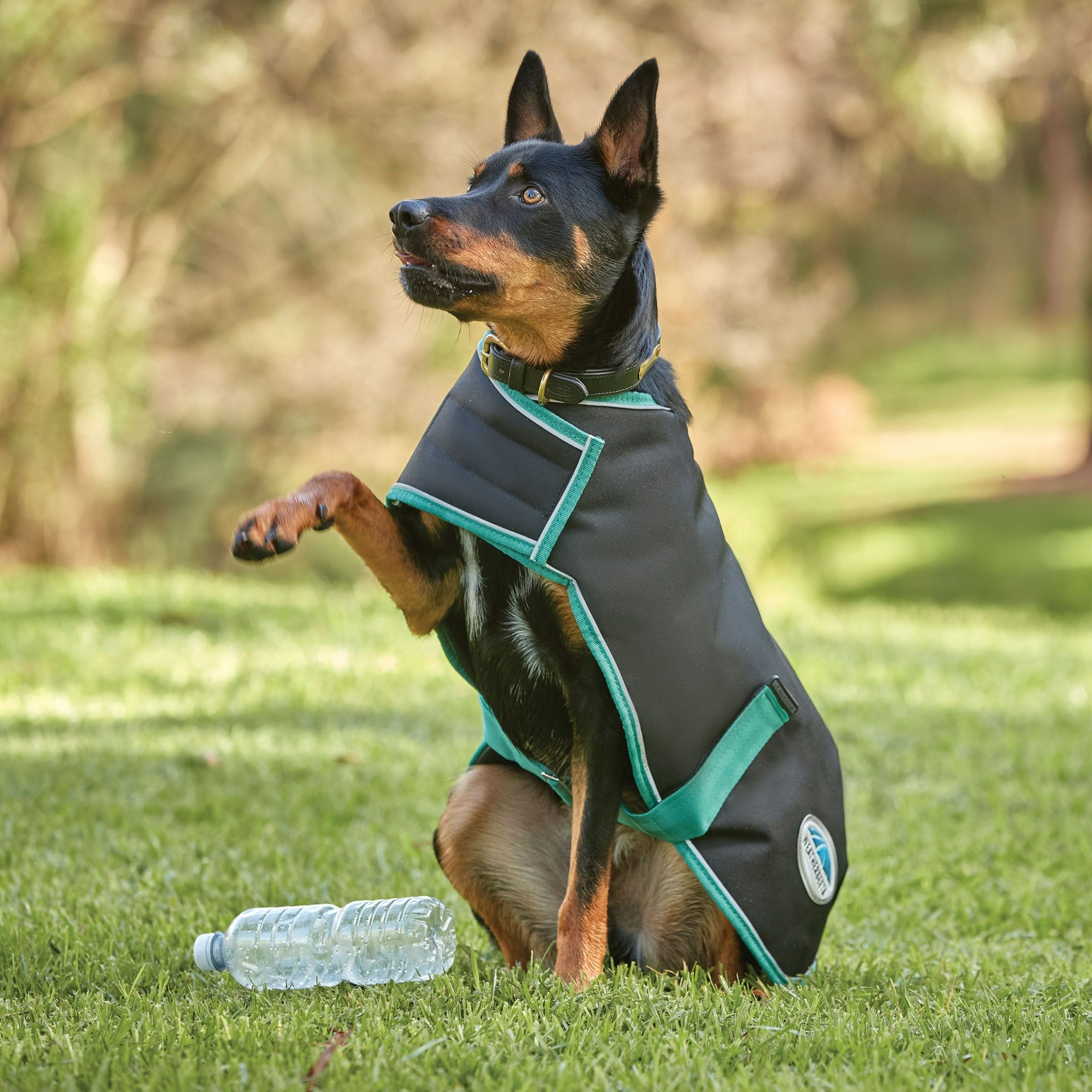 WeatherBeeta Green-Tec Dog Coats